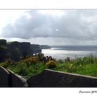 Cliffs of Moher