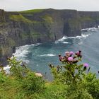 Cliffs of Moher bei strömendem Regen