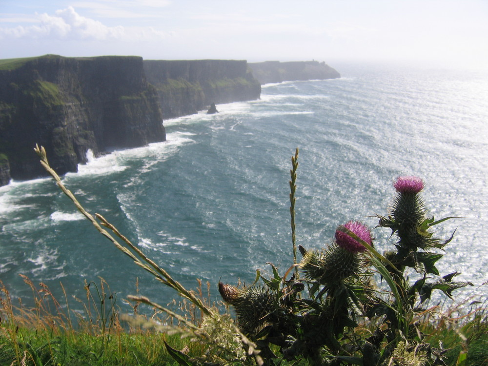 Cliffs of Moher