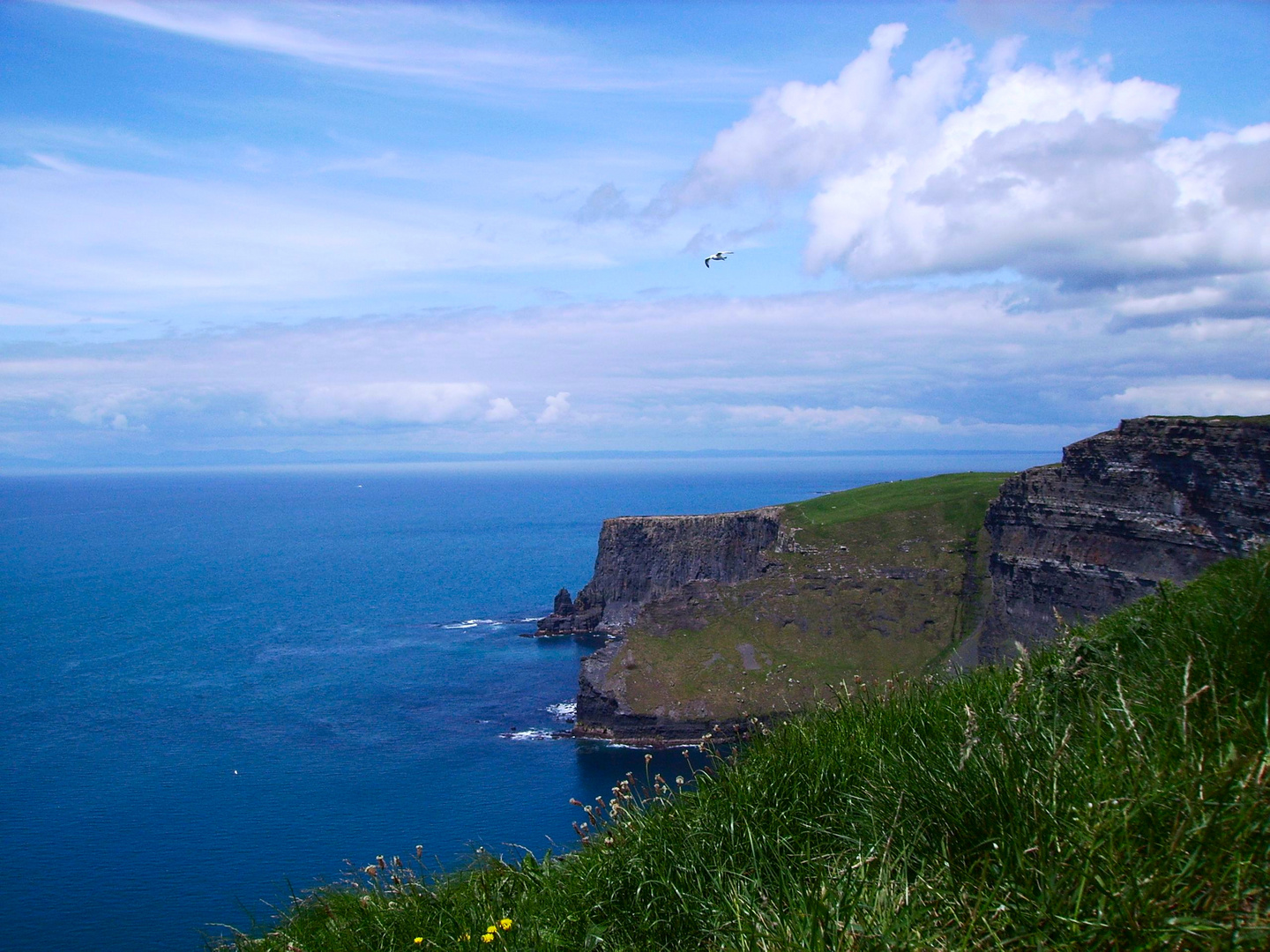 Cliffs of Moher