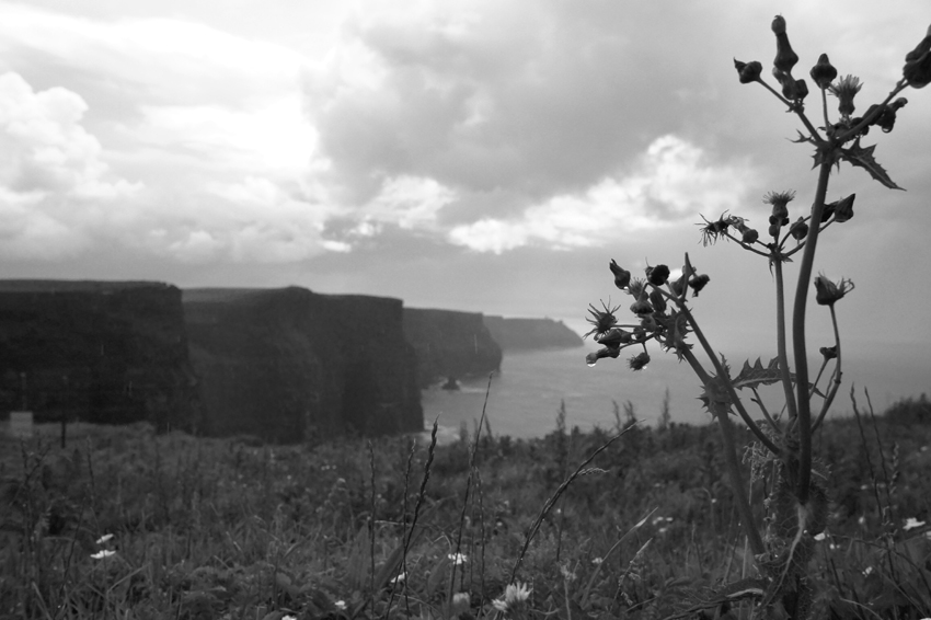 Cliffs of Moher