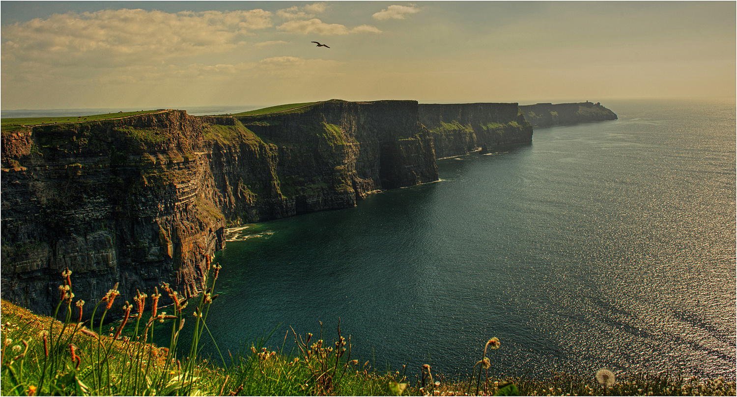 Cliffs of Moher