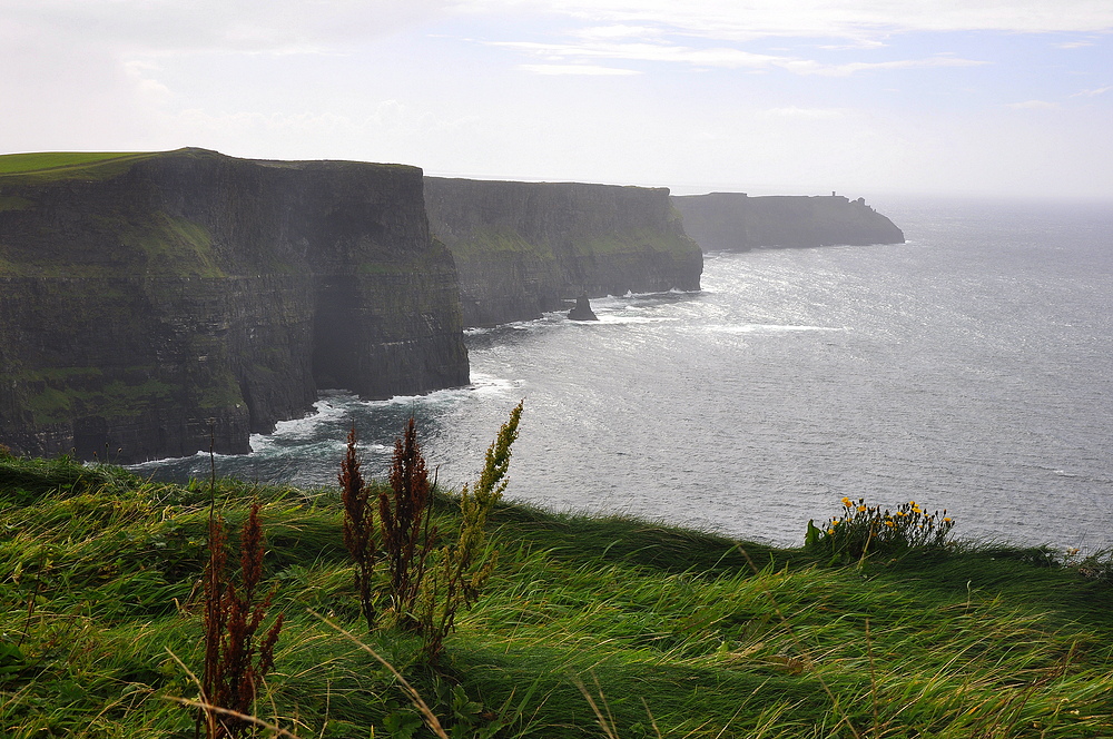 Cliffs of Moher I