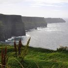 Cliffs of Moher I