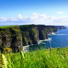 Cliffs of Moher I