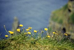 Cliffs of Moher III