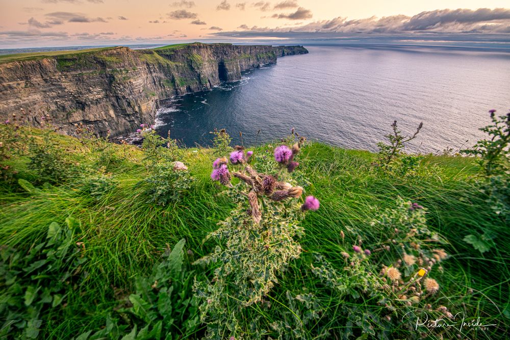 Cliffs of moher @ sundown