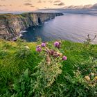 Cliffs of moher @ sundown