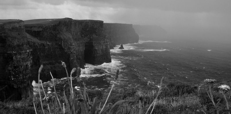 Cliffs of Moher: The Fog...is coming