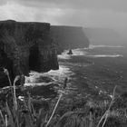 Cliffs of Moher: The Fog...is coming