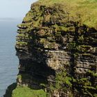 Cliffs of Moher - wieder zurück in der Idylle, Blick auf den O'Brien's Tower...