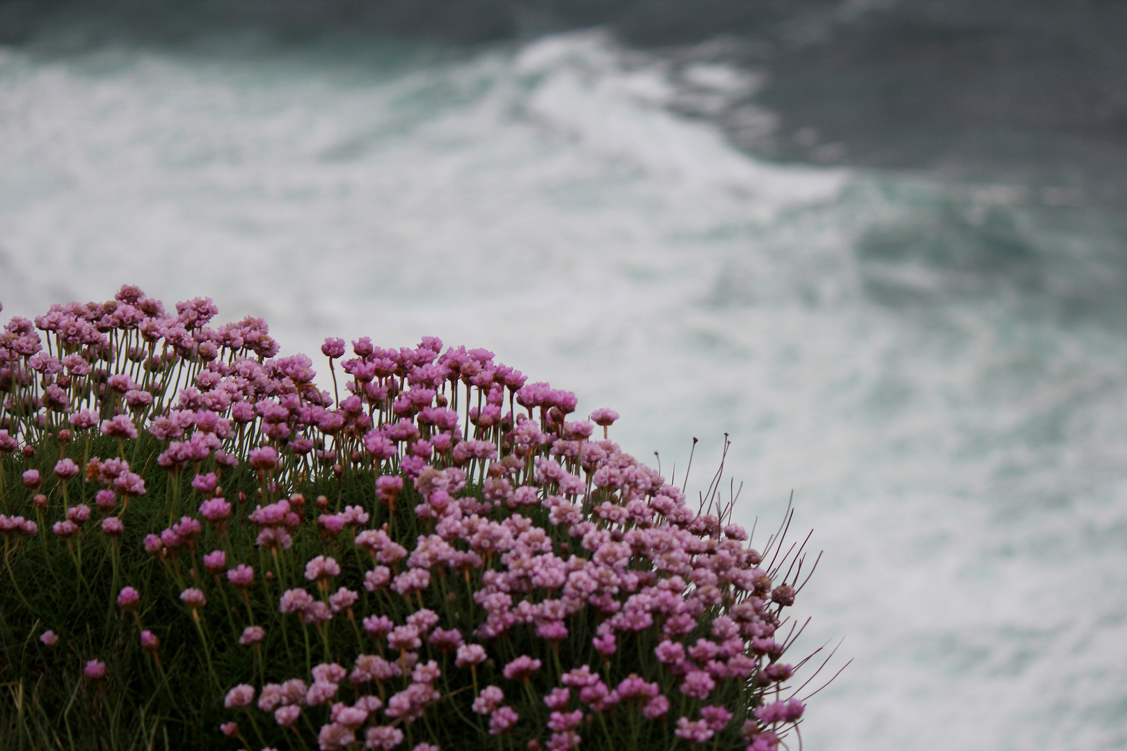 Cliffs of Moher_3