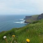 Cliffs of Moher...II