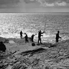 Cliffs von Kilkee (Irland)