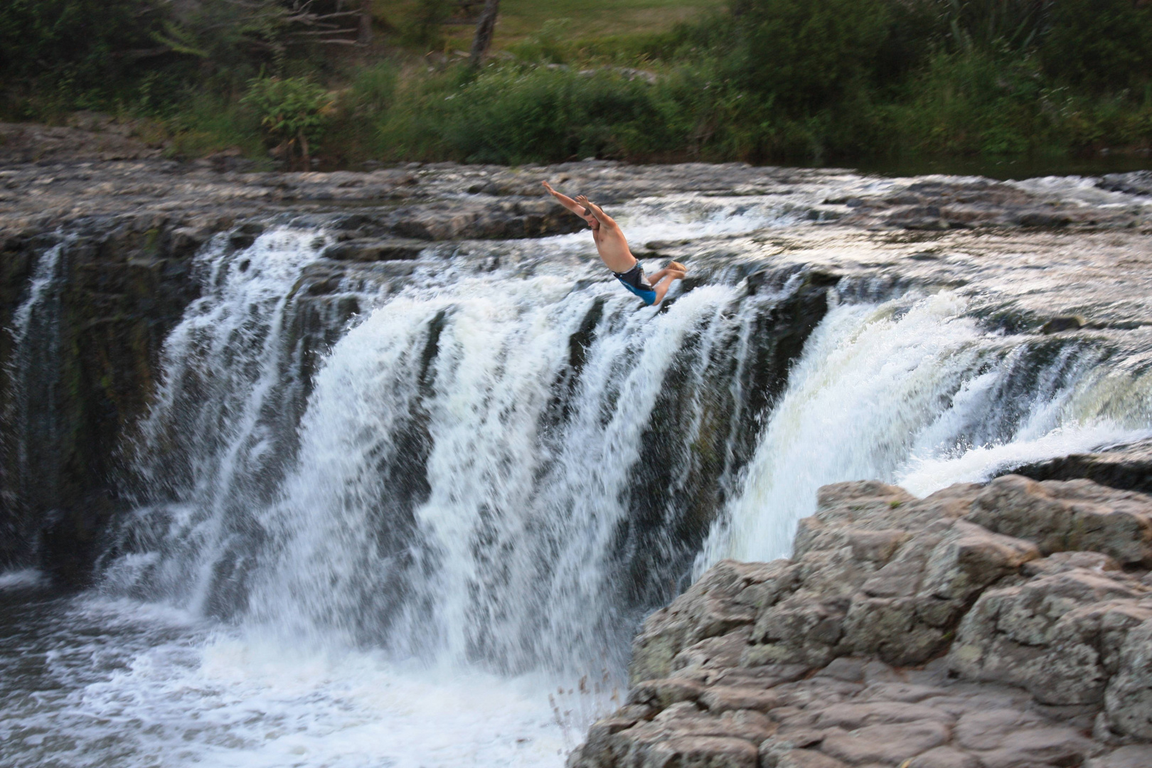 Cliffspringer bein Haruru-Falls