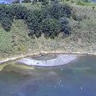 Clifftop Property  for sale, 130 meters oceanfront, absolute south exposure