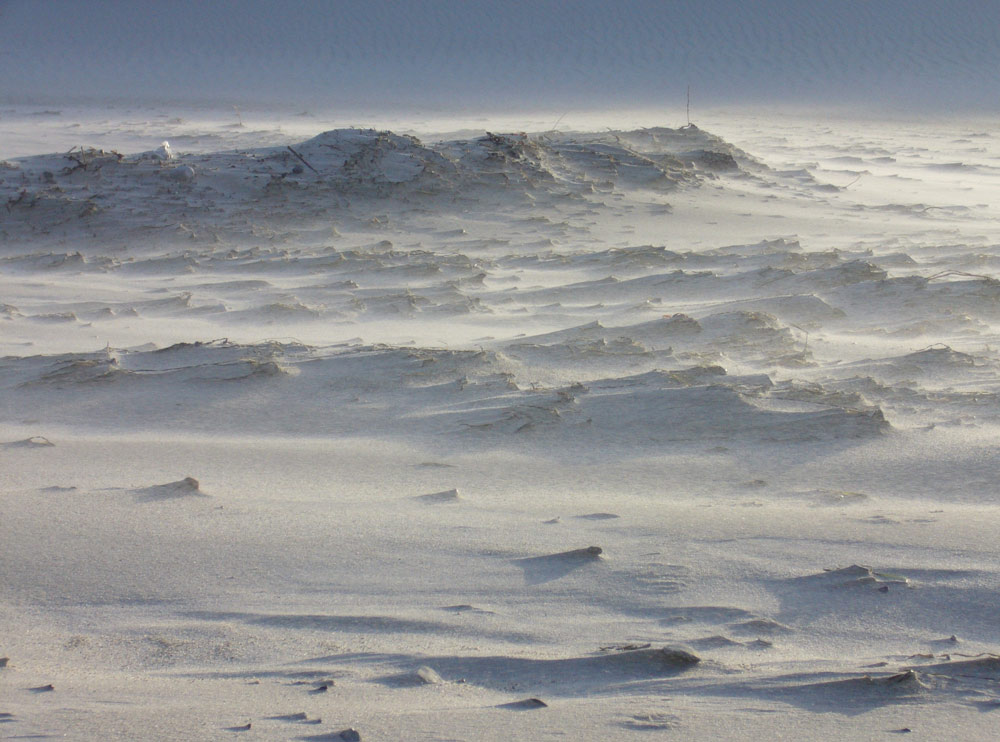 Climatic change becomes expensive - Sandsturm an der Ostsee - wie teuer wird der Küstenschutz