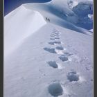 Climbers en route for the Pointe Isabelle. Chamonix.