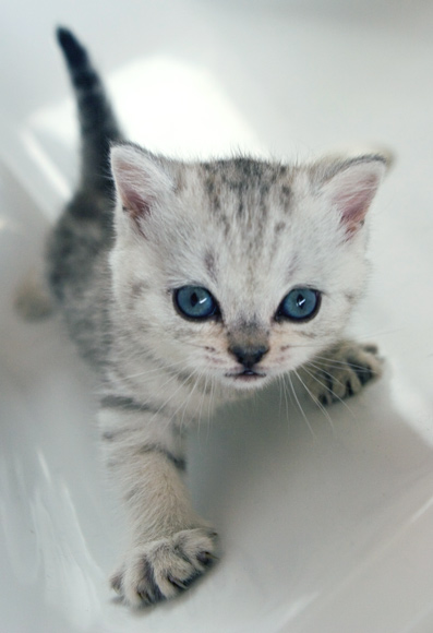 Climbing in the tub