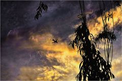 Climbing into a Potomac Sunset