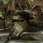 Climbing tree