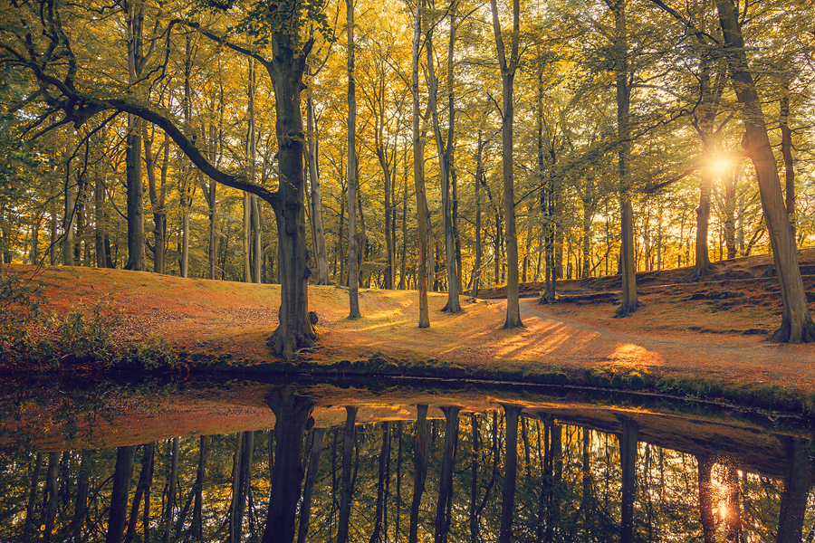 Clingendael Park (NL)