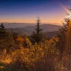 Clingmans Dome