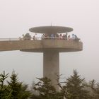 Clingmans Dome