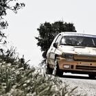 Clio Williams gr.A