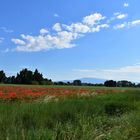 Cliquots et Ventoux