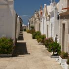 clmetière de Bonifacio