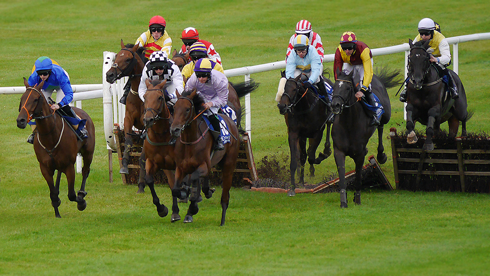 Clonmel Racecourse (Powerstown Park) / Ireland