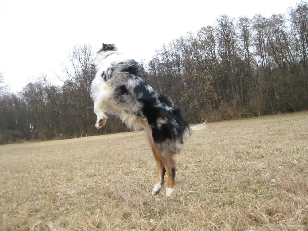 Clooney spielt Frisbee