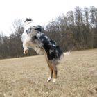 Clooney spielt Frisbee