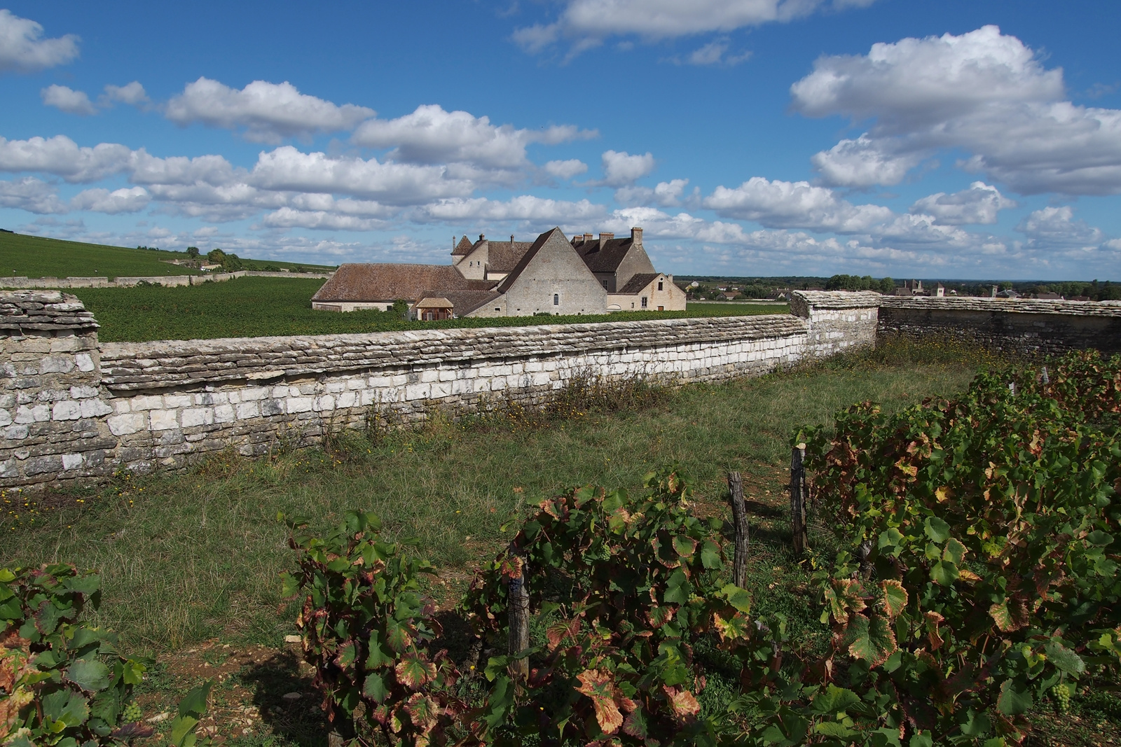 Clos de Vougeot