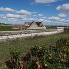 Clos de Vougeot