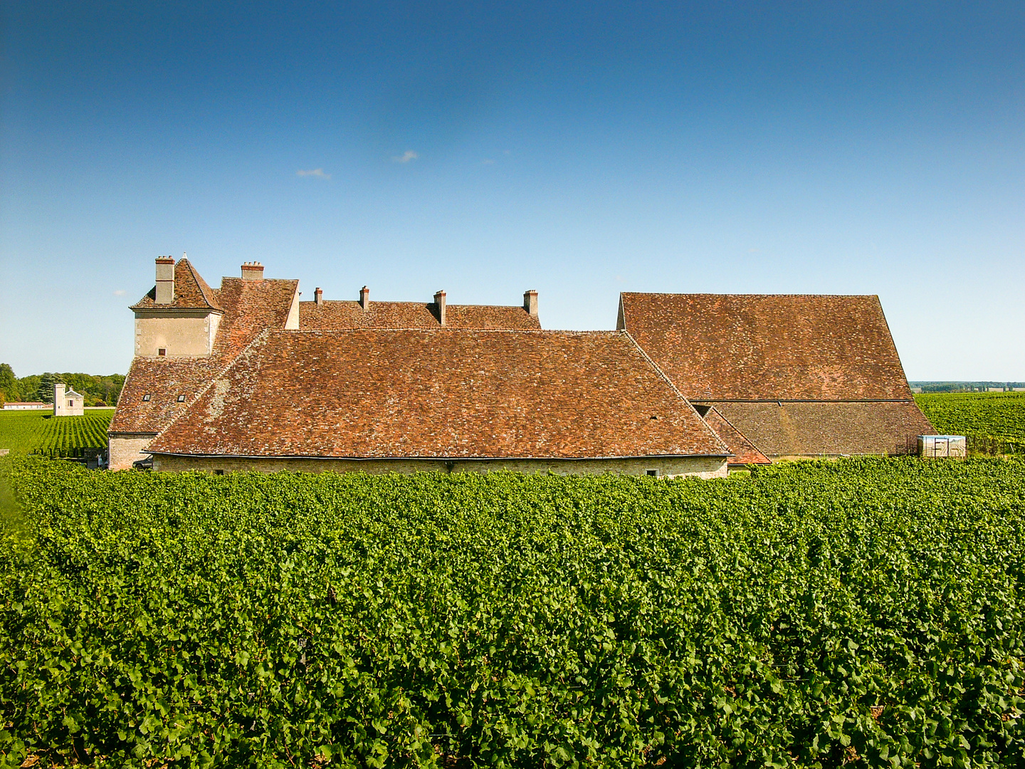 Clos de Vougeot