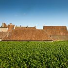 Clos de Vougeot