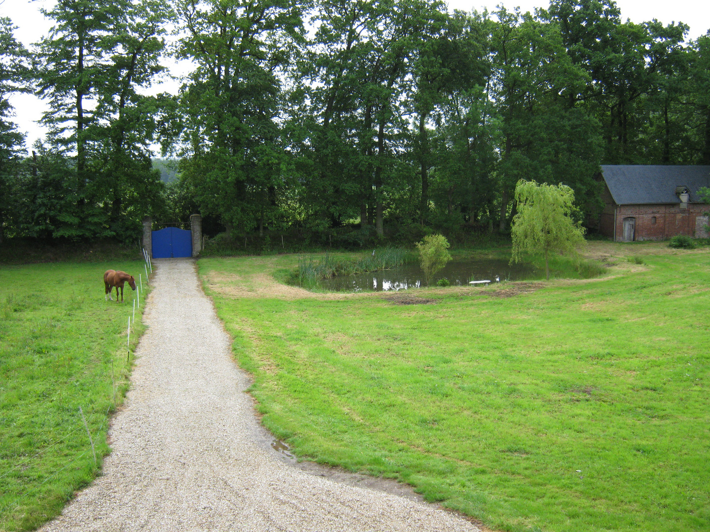 Clos masure et cheval au pré