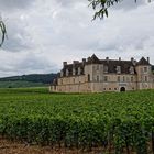 Clos vougeot - 1