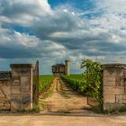 CLOS-VOUGEOT (2)