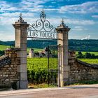 CLOS-VOUGEOT