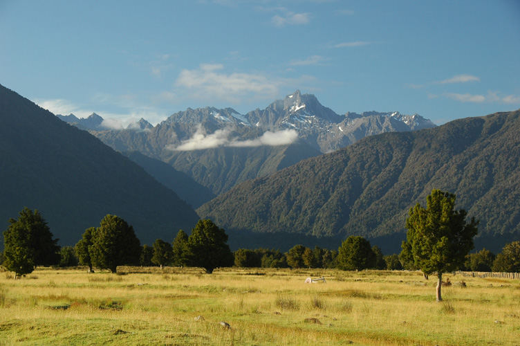 Close to Fox Glacier