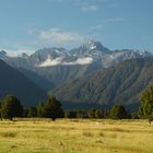 Close to Fox Glacier