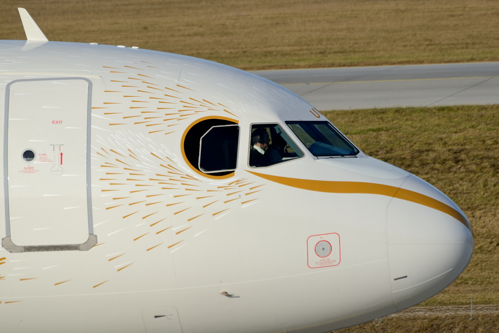 close up - Airbus A319