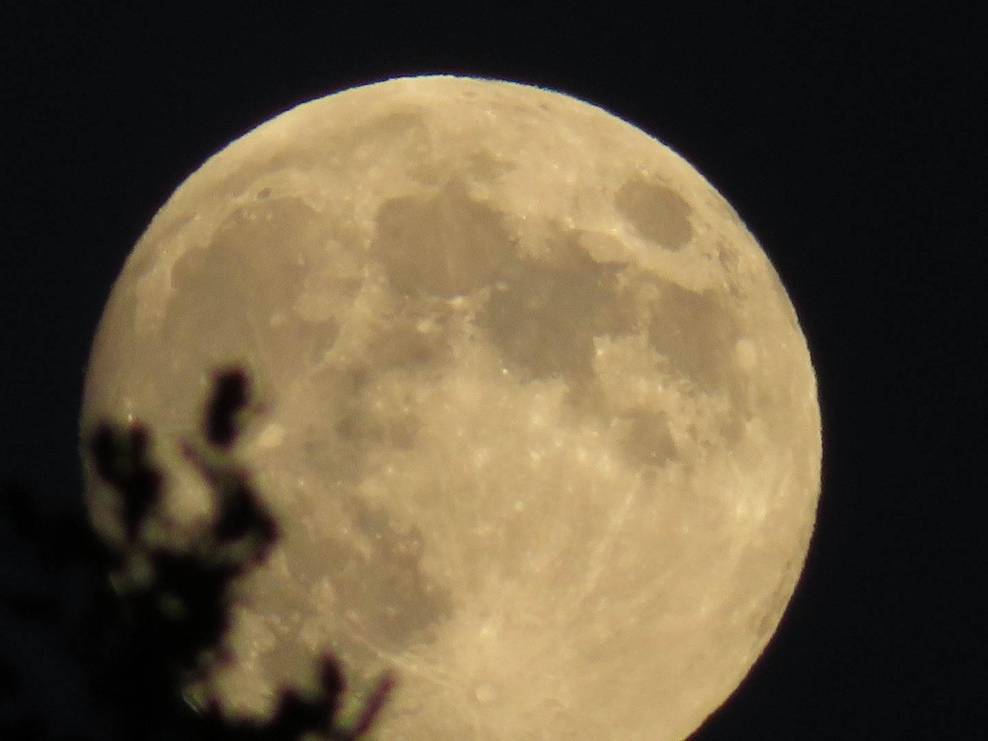 Close-Up Mond