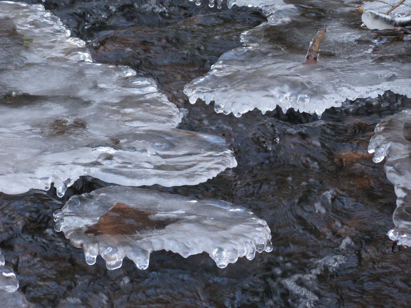 Closeup of bizarre ice floes in a mountain stream