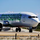 Closeup: transavia