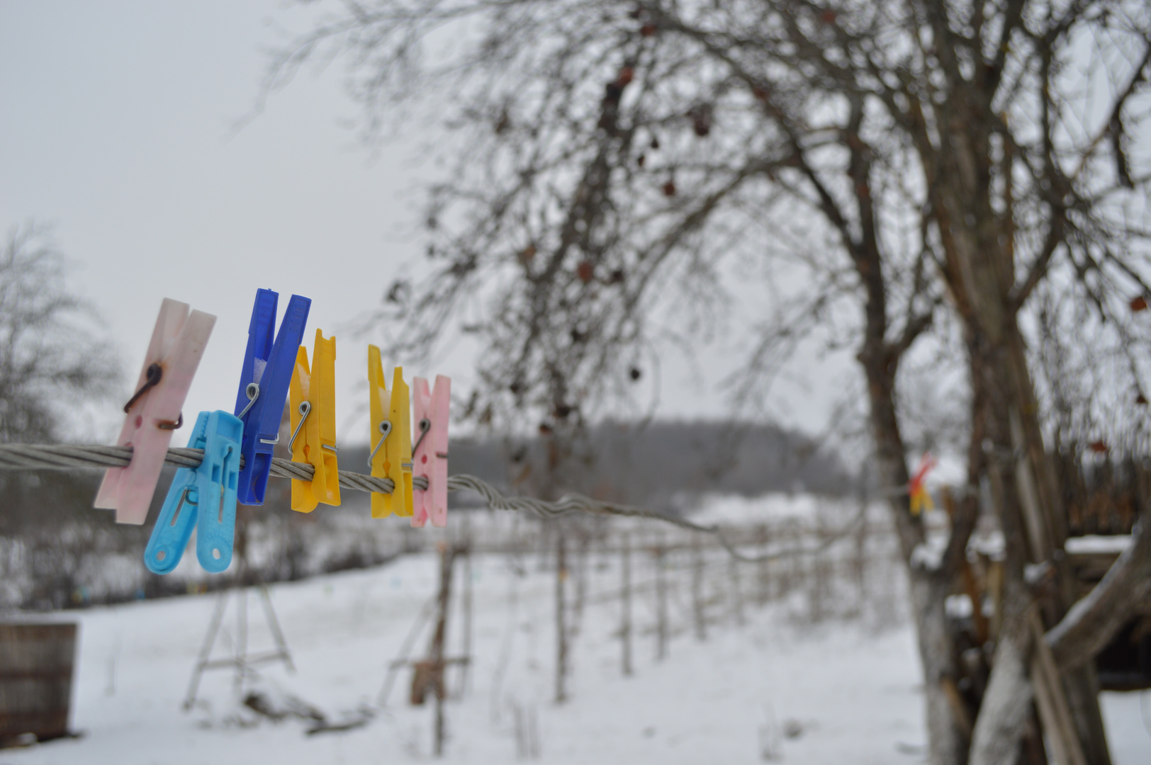 Clothes clips in the winter