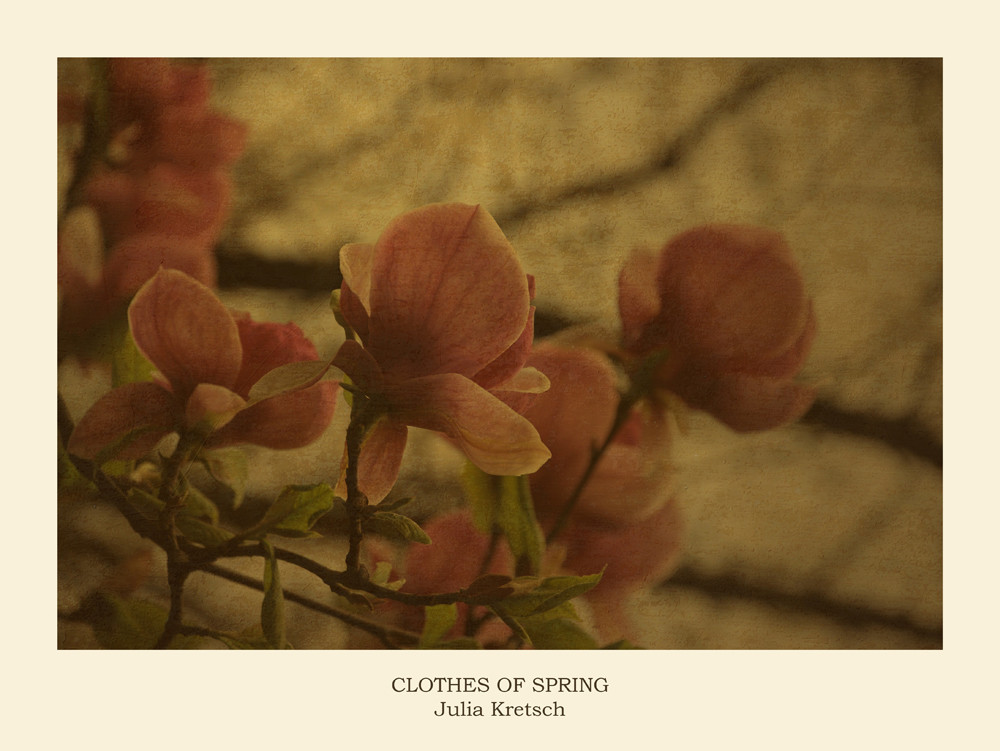 Clothes of Spring